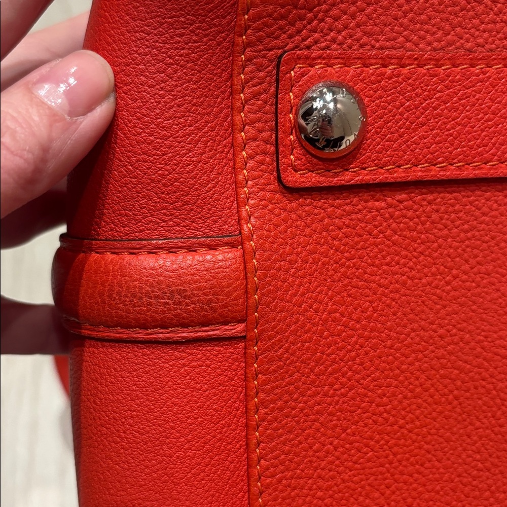 Louis Vuitton Sofia Coppola Poppy Leather Satchel with Detachable Strap in PS - Picture 6 of 8
